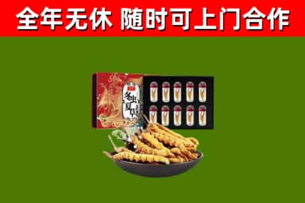 晋源区烟酒回收冬虫夏草礼盒.jpg